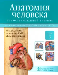 Колесников, Ничипорук, Гайворонский: Анатомия человека. Учебник. В 3-х томах. Том 2. Спланхнология и сердечно-сосудистая система