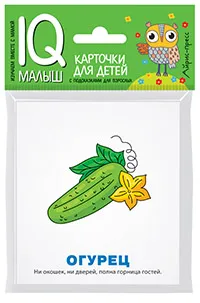 : Умный малыш. Загадки. Набор карточек для детей.