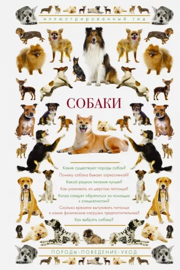 Ирина Барановская: Собаки. Иллюстрированный гид