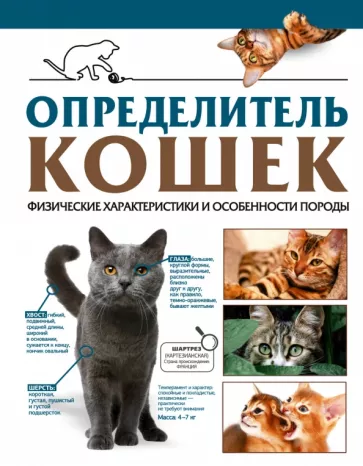 Смирнов, Спектор: Определитель кошек. Физические характеристики и особенности породы