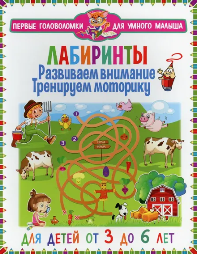 : Лабиринты. Развиваем внимание, тренируем моторику. Для детей от 3 до 6 лет