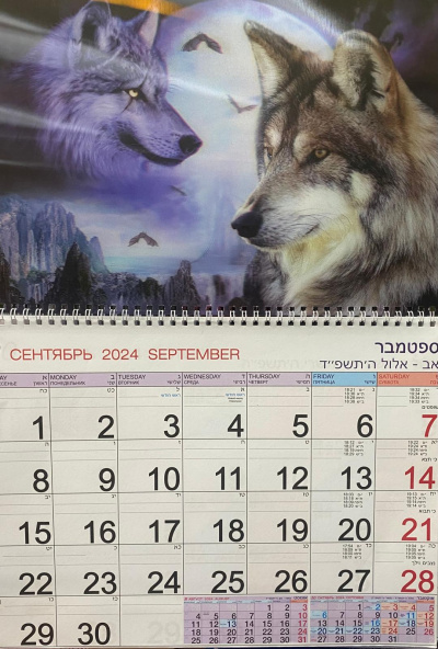 Календарь Стерео на 2025-2026 год: Волки при луном свете