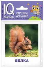 Ходюшина Н.П.: Умный малыш. Кто живёт в лесу? Набор карточек для детей.
