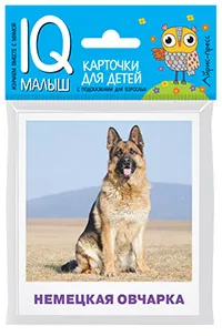 Малунова М. В.: Умный малыш. Породы собак Набор карточек для детей.