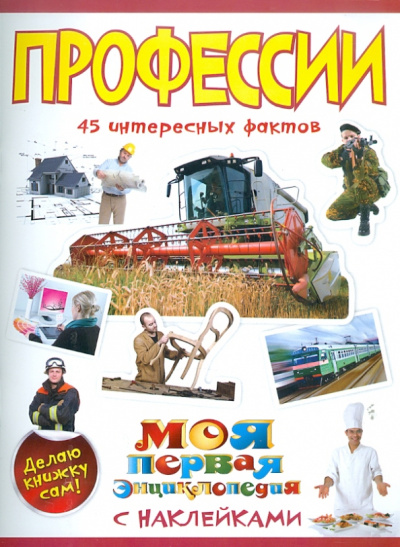 Елена Шейнина: Профессии