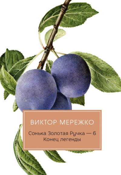 Виктор Мережко: Сонька Золотая Ручка - 6. Конец легенды