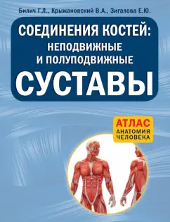 Билич, Крыжановский: Соединения костей:  неподвижные и полуподвижные суставы