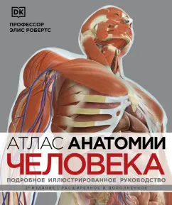 Элис Робертс: Атлас анатомии человека. Подробное иллюстрированное руководство