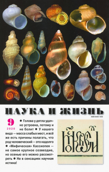 Журнал "Наука и жизнь" № 9. 2020