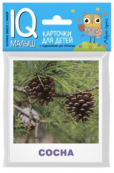 Малунова М.В.: Умный малыш. Деревья