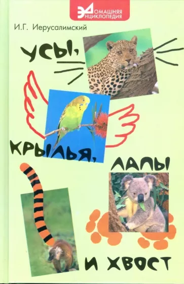 Иван Иерусалимский: Усы, крылья, лапы и хвост