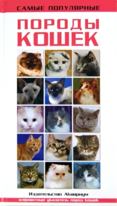 Самые популярные породы кошек