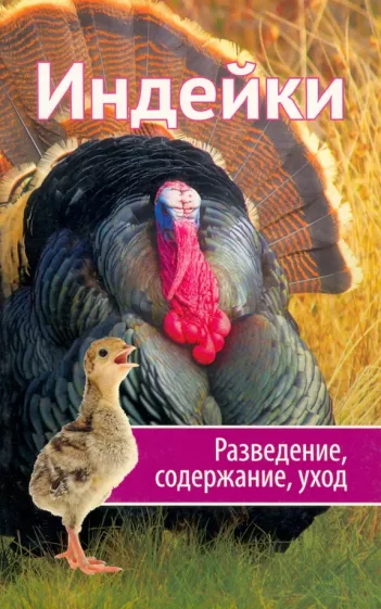 Марина Романова: Индейки. Разведение, содержание, уход