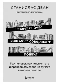 Станислас Деан: Прямо сейчас ваш мозг совершает подвиг. Как человек научился читать