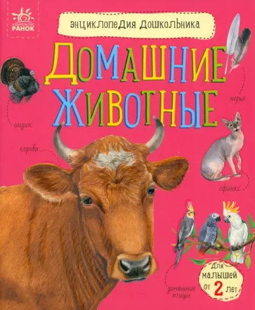 Юлия Каспарова: Домашние животные
