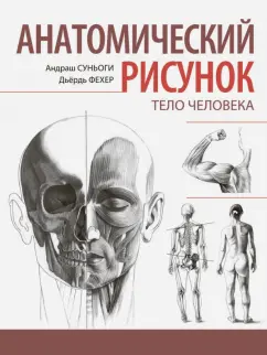 Суньоги, Фехер: Анатомический рисунок. Тело человека