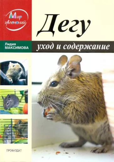 Лидия Максимова: Дегу. Уход и содержание