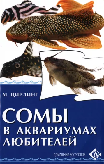 Михаил Цирлинг: Сомы в аквариумах любителей