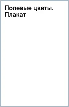 Полевые цветы. Плакат