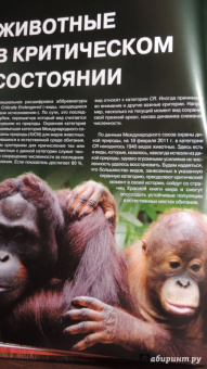 Скалдина, Слиж: Красная книга. Животные мира