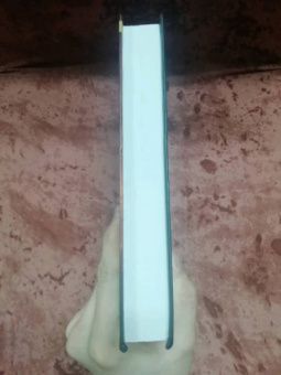 Тимоти Зан: Звёздные войны. Траун. Наследник Империи