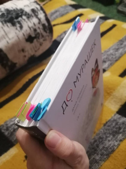 Ложкина, Шлионская: До мурашек. ASMR и другие технологии чувственного воздействия