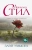 Даниэла Стил: Злой умысел