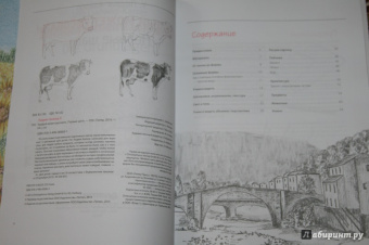 Уте Людвиг-Кайзер: Каждый может рисовать. Первые шаги