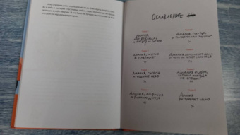 Наталья Песочинская: Амалия Коко де Нель в погоне за временем