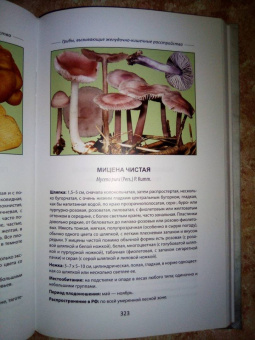 Михаил Вишневский: Ядовитые грибы России