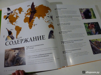 Марк Карвардайн: Самый "дикий путеводитель" мира