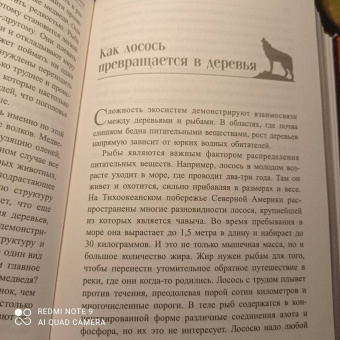 Петер Воллебен: Тайные связи в природе