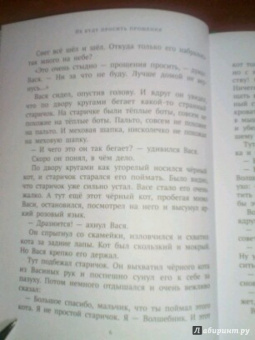 Софья Прокофьева: Не буду просить прощения