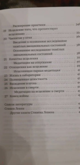 Стивен Левин: Исцеление в жизни и смерти