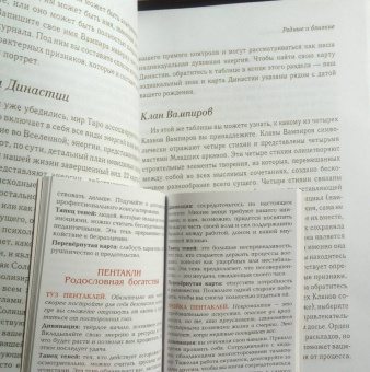Алехандро Колуччи: Таро V