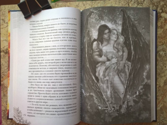 Сильвия Лайм: Рабыня драконьей крови. Книга 2