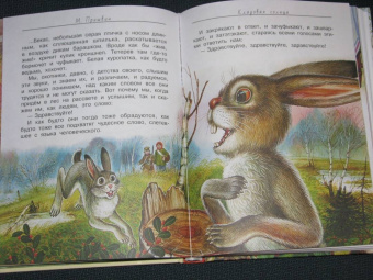 Бианки, Сладков, Пришвин: Лесные домишки. Сказки и рассказы