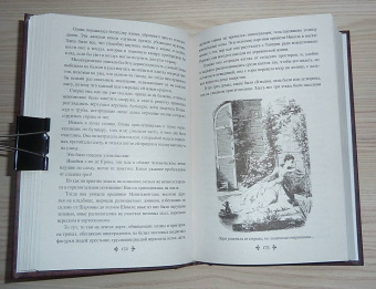 Александр Дюма: Ожерелье королевы. Том 2