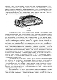 Власов, Жигин: Технология производства продукции биоресурсов. Учебное пособие