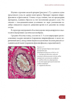 Елена Борхунова: Частная гистология. Интегрирующие системы. Методика изучения препаратов. Учебно-методическое пособие