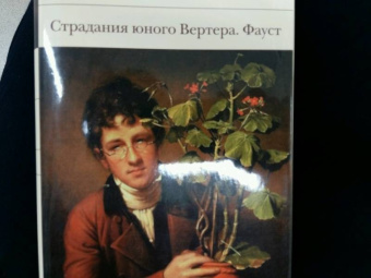 Иоганн Гете: Страдания юного Вертера. Фауст