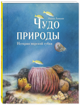 Нинон Амманн: Чудо природы. История морской губки