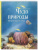 Нинон Амманн: Чудо природы. История морской губки Нинон Амманн: Чудо природы. История морской губки