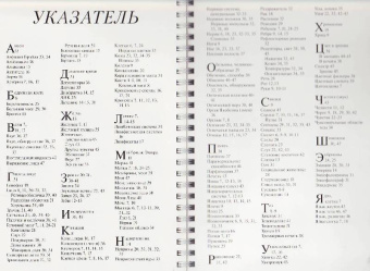Грехам, Уолкер: Дискавери:  Анатомия человека