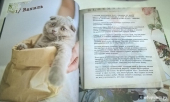 Олеся Куприн: Будешь торт?