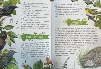 Николай Сладков: Лесные сказки