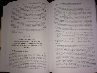 Дитмар Розенталь: Классический справочник по русскому языку. Орфография. Пунктуация. Орфографический словарь