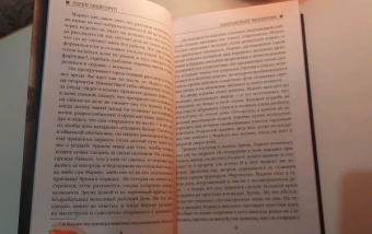 Сорен Свейструп: Каштановый человечек