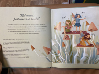 Федерика Магрин: Волшебный мир фей. Вместе с феями изучаем природу, печём кекс, мастерим подарки