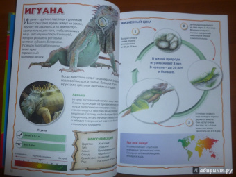 Моя первая книга о животных